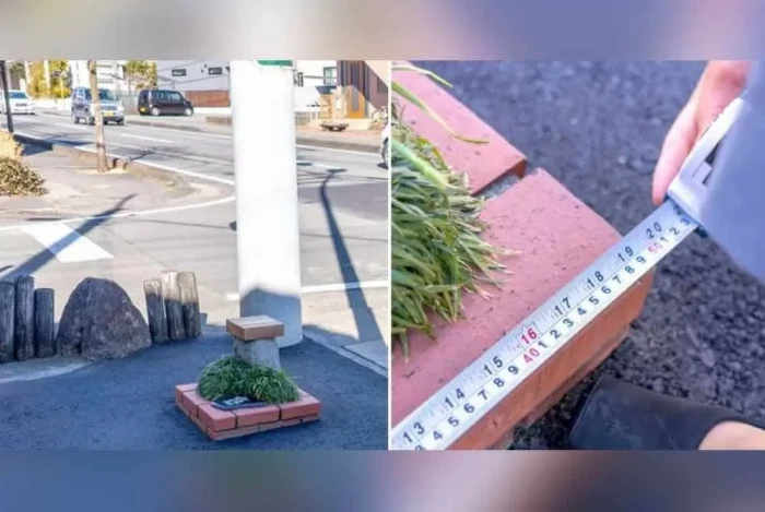 Jepang Ciptakan Taman...