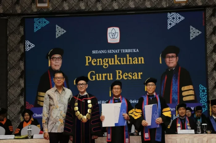 2 Dosen President University...