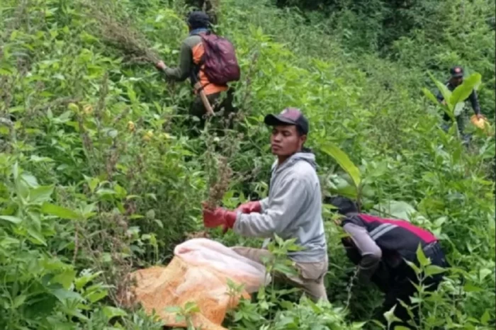 Pemilik 56 Lokasi Ladang...