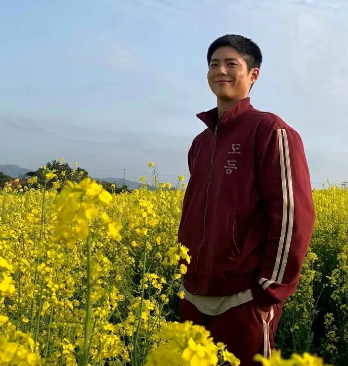 Park Bo Gum Pemeran...