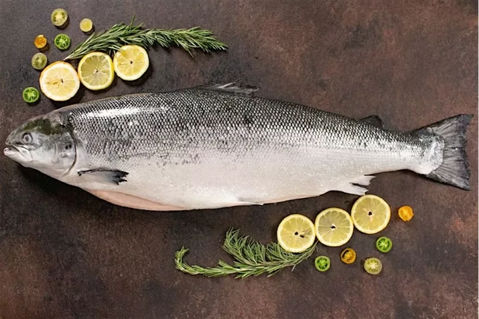 4 Ikan yang Boleh Dimakan...