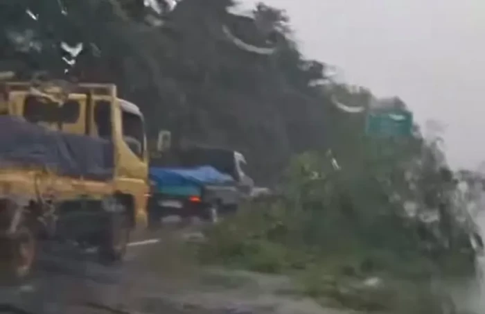 Pohon Tumbang, Rekayasa...