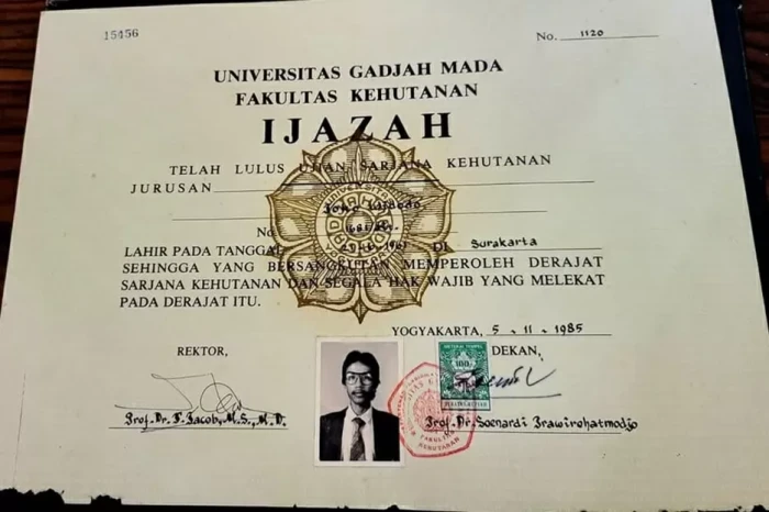 Ini Hasil Riset dr Tifa...