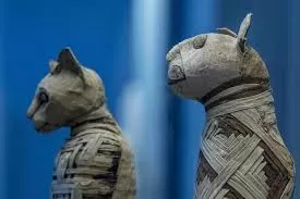 Kucing Modern Diklaim...