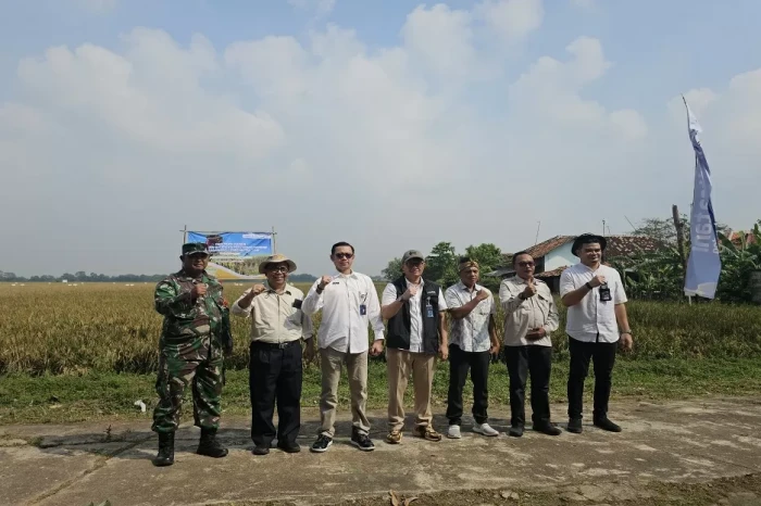 Terapkan Teknologi Biostimulan,...