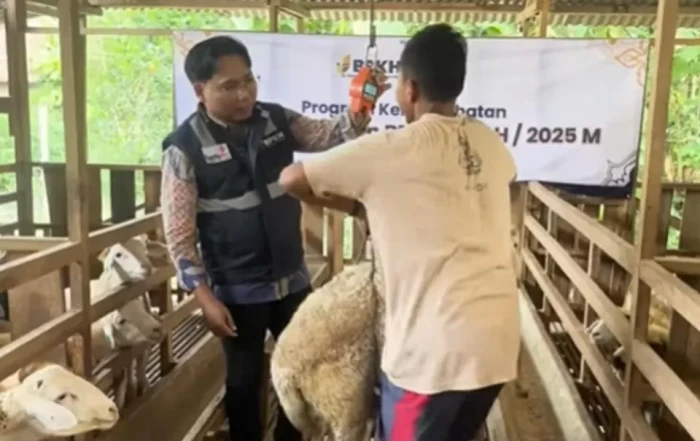 Rayakan Iduladha 1446...