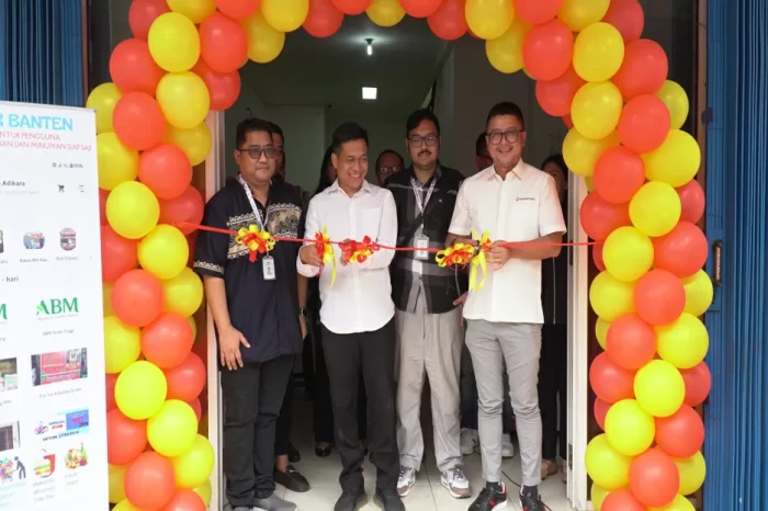 Perluas Jangkauan Pasar,...