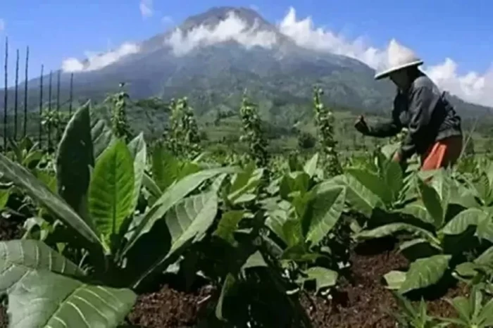 DPR Ingatkan Dampak...