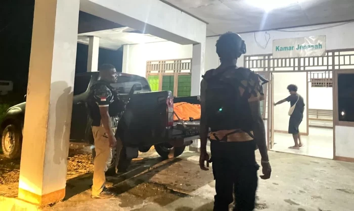 Satgas Operasi Damai...