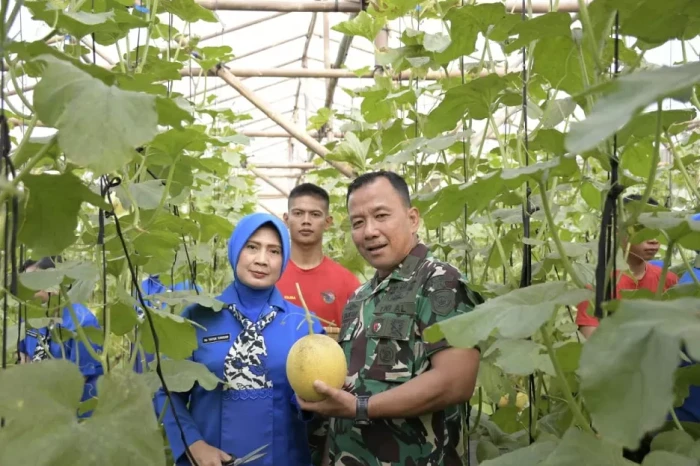 Wujudkan Ketahanan Pangan,...