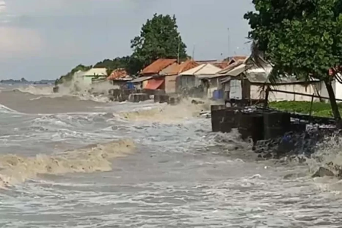 Banjir Rob Terjang Indramayu,...