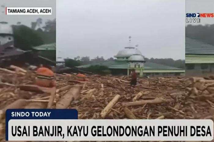 BNPB Sebut Jaringan...