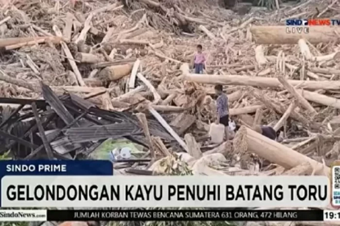 Bencana Sumatera, Rokhmin...
