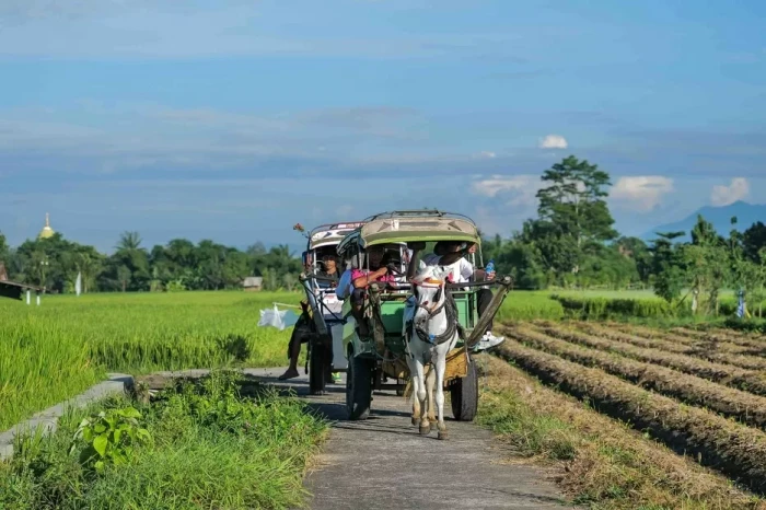 Libur Nataru, Ini Rekomendasi...