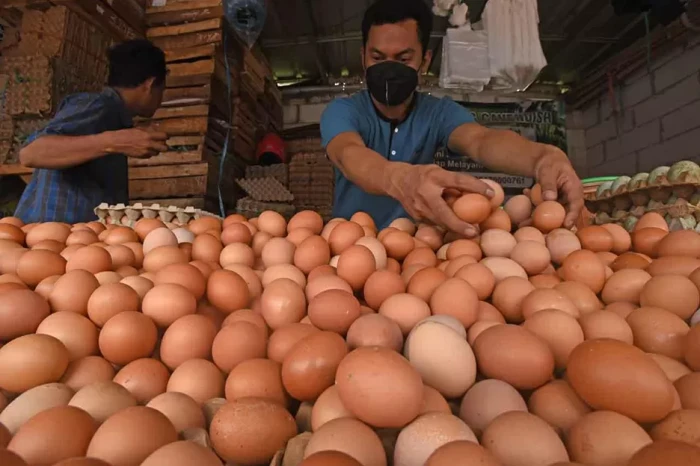 Ketersediaan Telur Dipastikan...