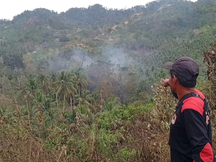 Petugas Gabungan Masih...