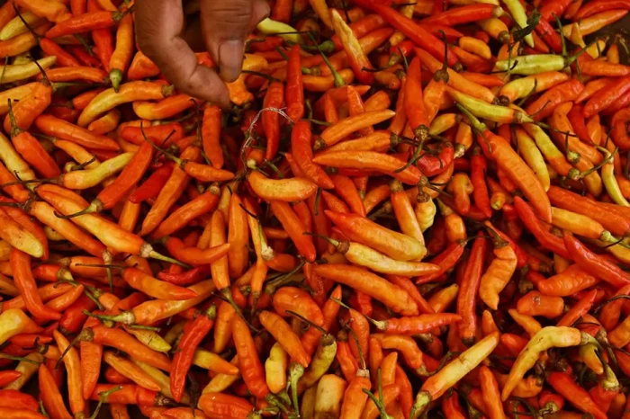 Harga Cabai Rawit Merah...