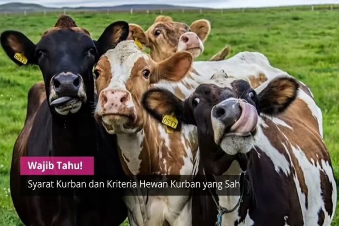Ketentuan Hewan Kurban...