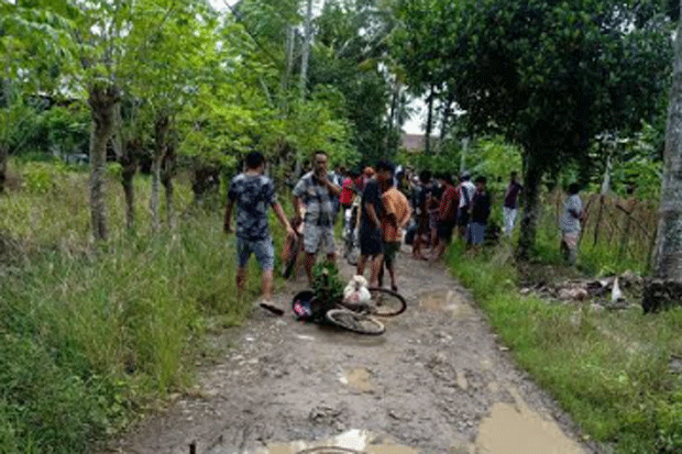 Gara-gara Pekarangan,...
