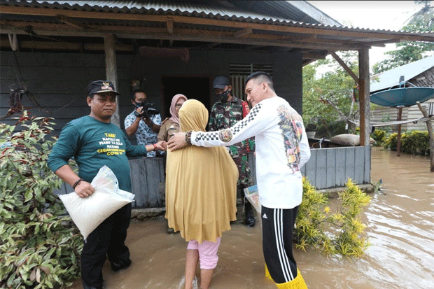 Kadis BKPSDM Palopo...