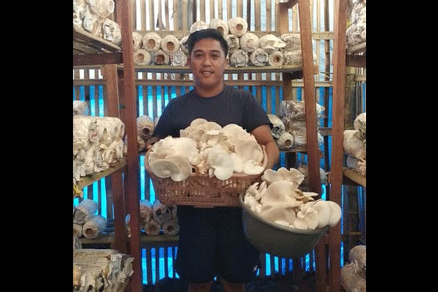 Manfaatkan Lahan Sempit,...