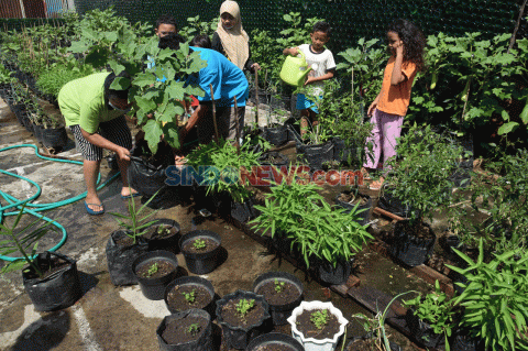 Agro Eduwisata Organik...