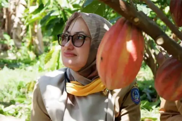 Produksi Kakao Sulsel...
