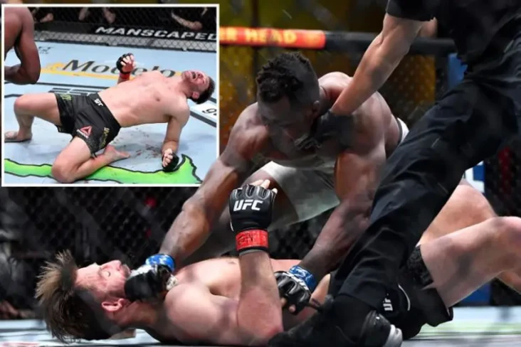 Sadis! Francis Ngannou...