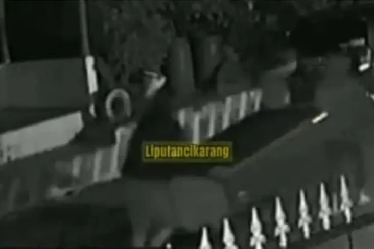 Tega, 3 Remaja Gasak...