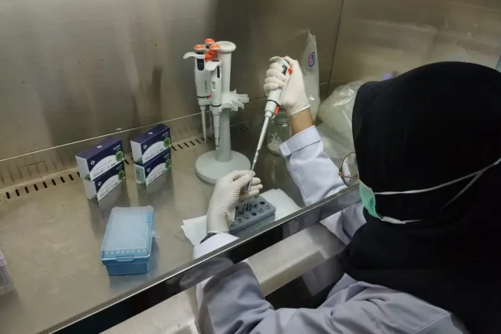 Seakurat PCR, RT-LAMP...