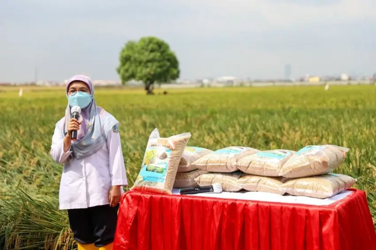 Dukung Ketahanan Pangan,...