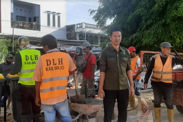 DLH Wajo Benahi Taman...