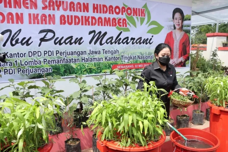 Puan Maharani Dinilai...