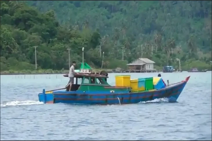 Tangkapan Ikan di Laut...