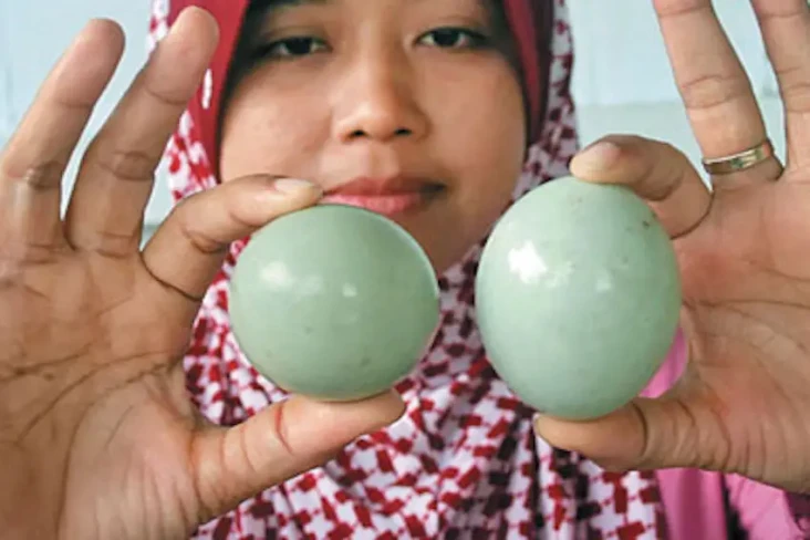 5 Manfaat Telur Bebek...