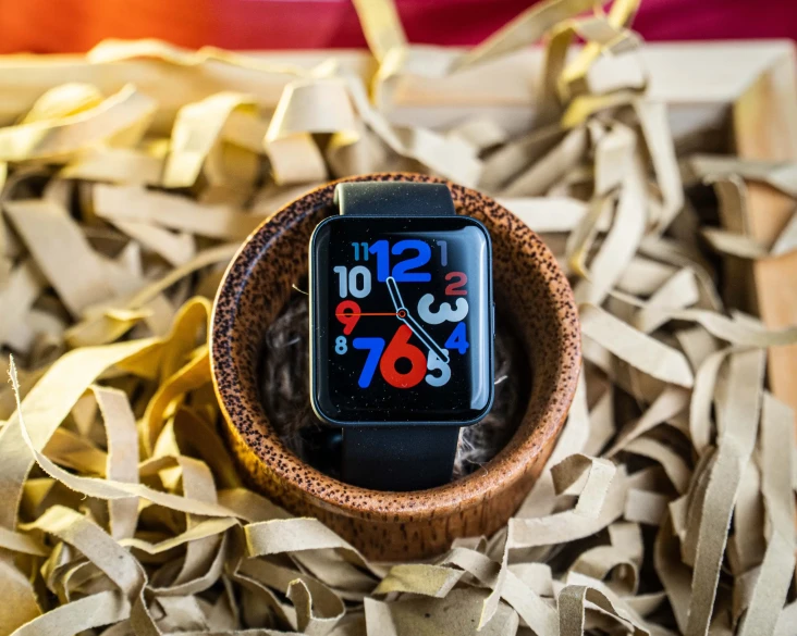 Review Redmi Watch 2...