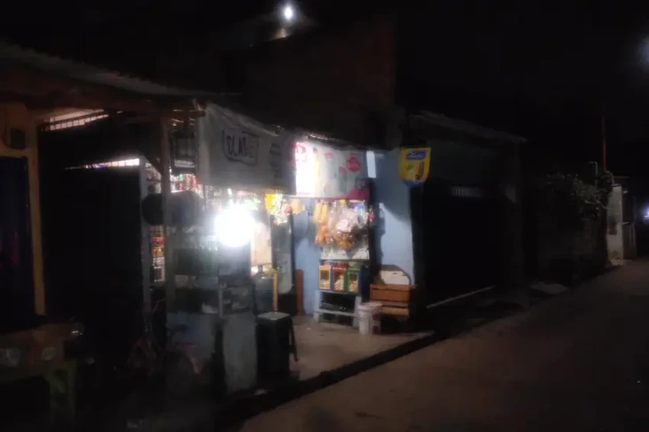 Preman Kampung Palak...