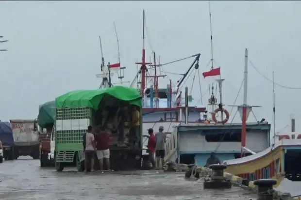 Sejumlah Kapal Urung...