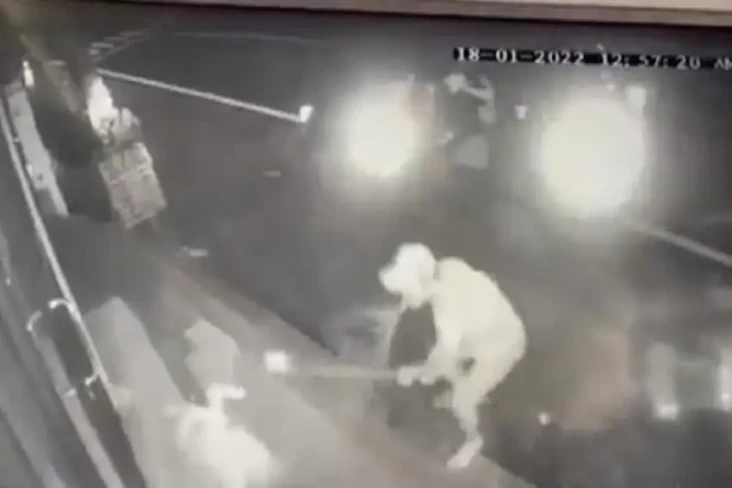 Sadis, Beredar Video...