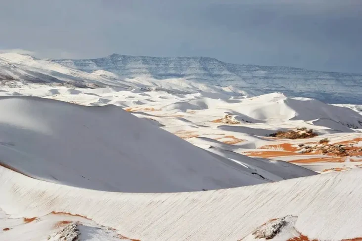 Gurun Sahara yang Panas...