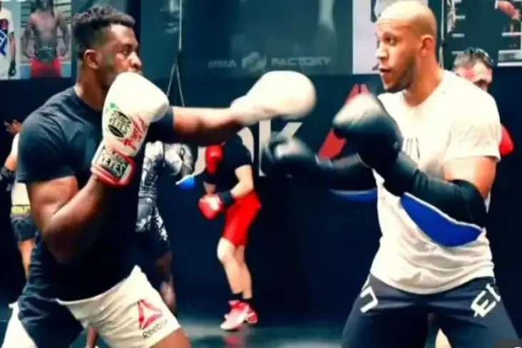 Francis Ngannou vs Ciryl...