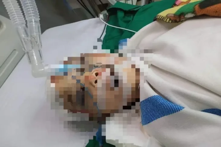 Viral Curhatan Seorang...