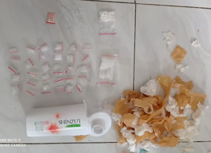 31 Paket Sabu dalam...