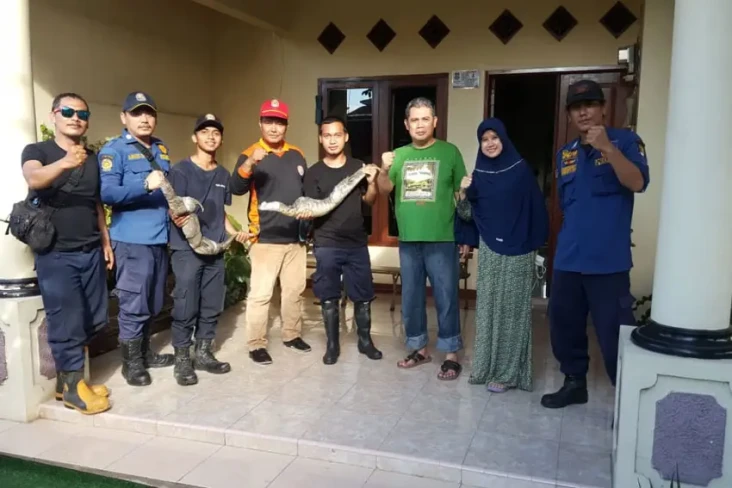 Dikira Suara Tikus,...