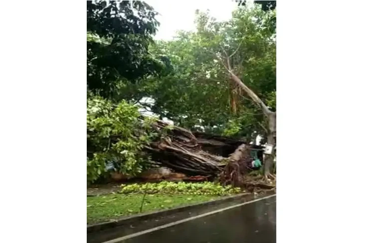 Hujan Disertai Angin...