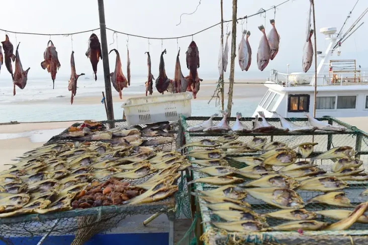 Jenis Ikan Ini Bisa...