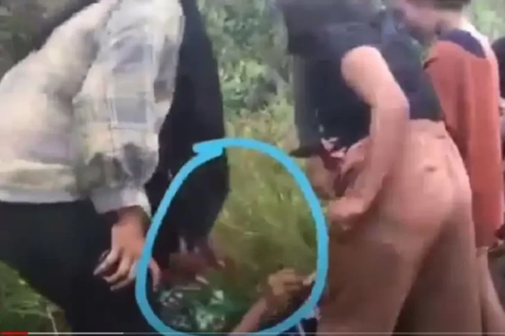 Viral, Rebutan Pacar...