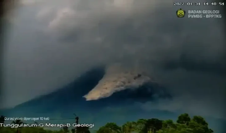 Penampakan Wedus Gembel...