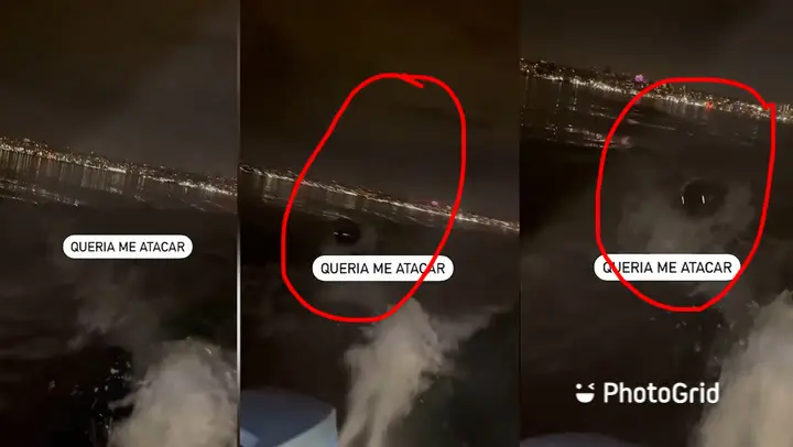 Hewan Melata Misterius...