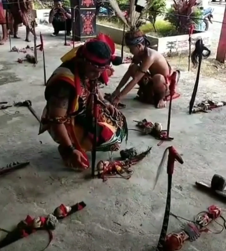 Tak hanya Mandau Terbang,...
